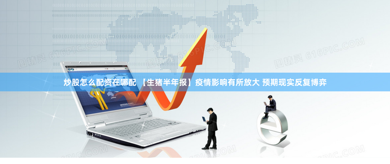 炒股怎么配资在哪配 【生猪半年报】疫情影响有所放大 预期现实反复博弈
